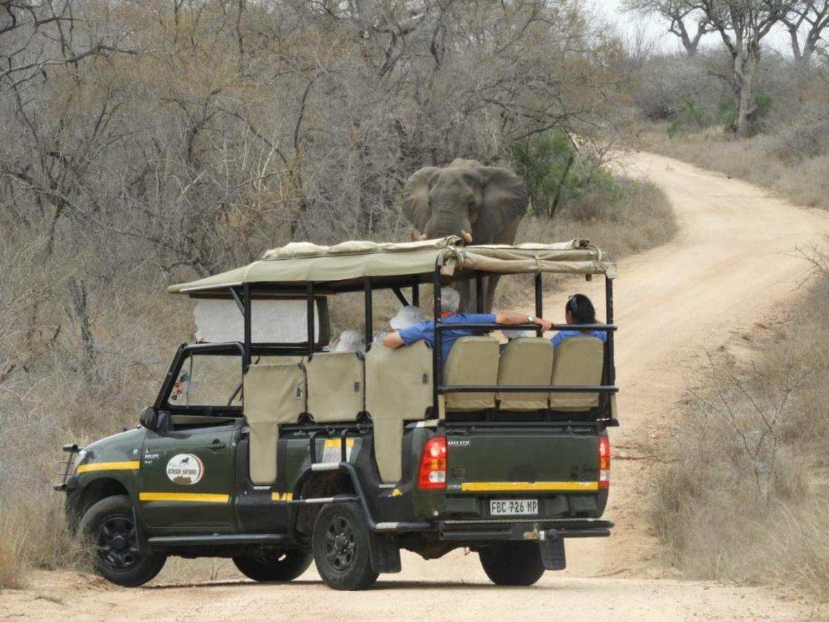 Mbabat Bongan Safari Lodge المظهر الخارجي الصورة
