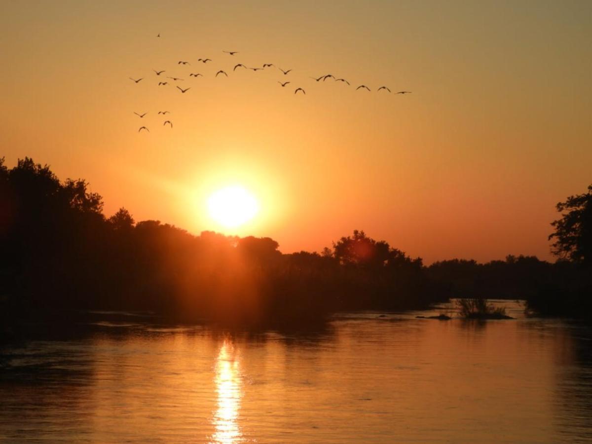 Mbabat Bongan Safari Lodge المظهر الخارجي الصورة
